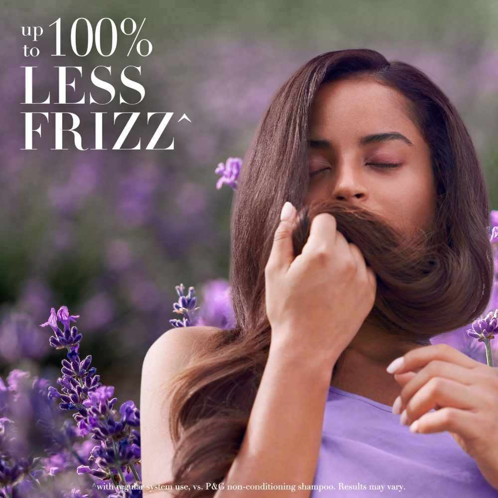 Lavender Calm Frizz Shampoo 400ml