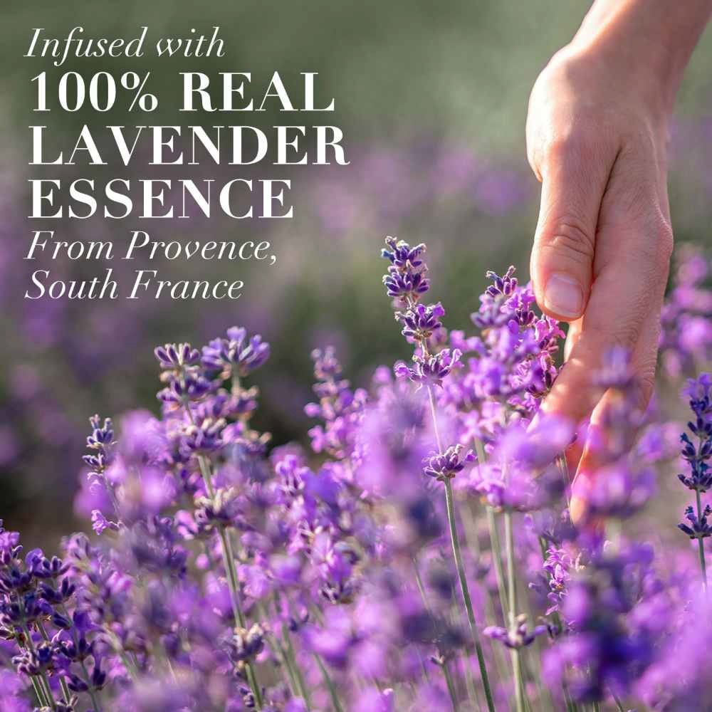 Lavender Calm Frizz Shampoo 400ml