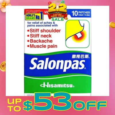 SALONPAS® Pain Relieving Patch 10s