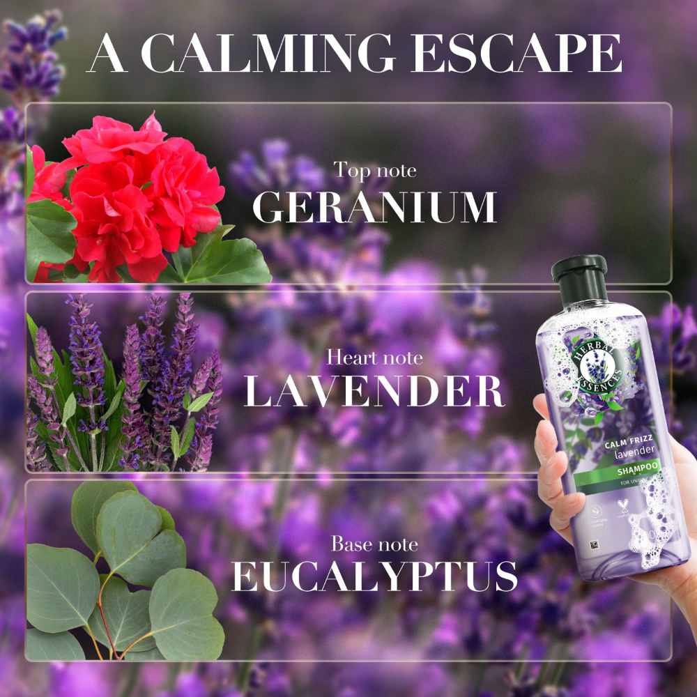 Lavender Calm Frizz Conditioner 400ml