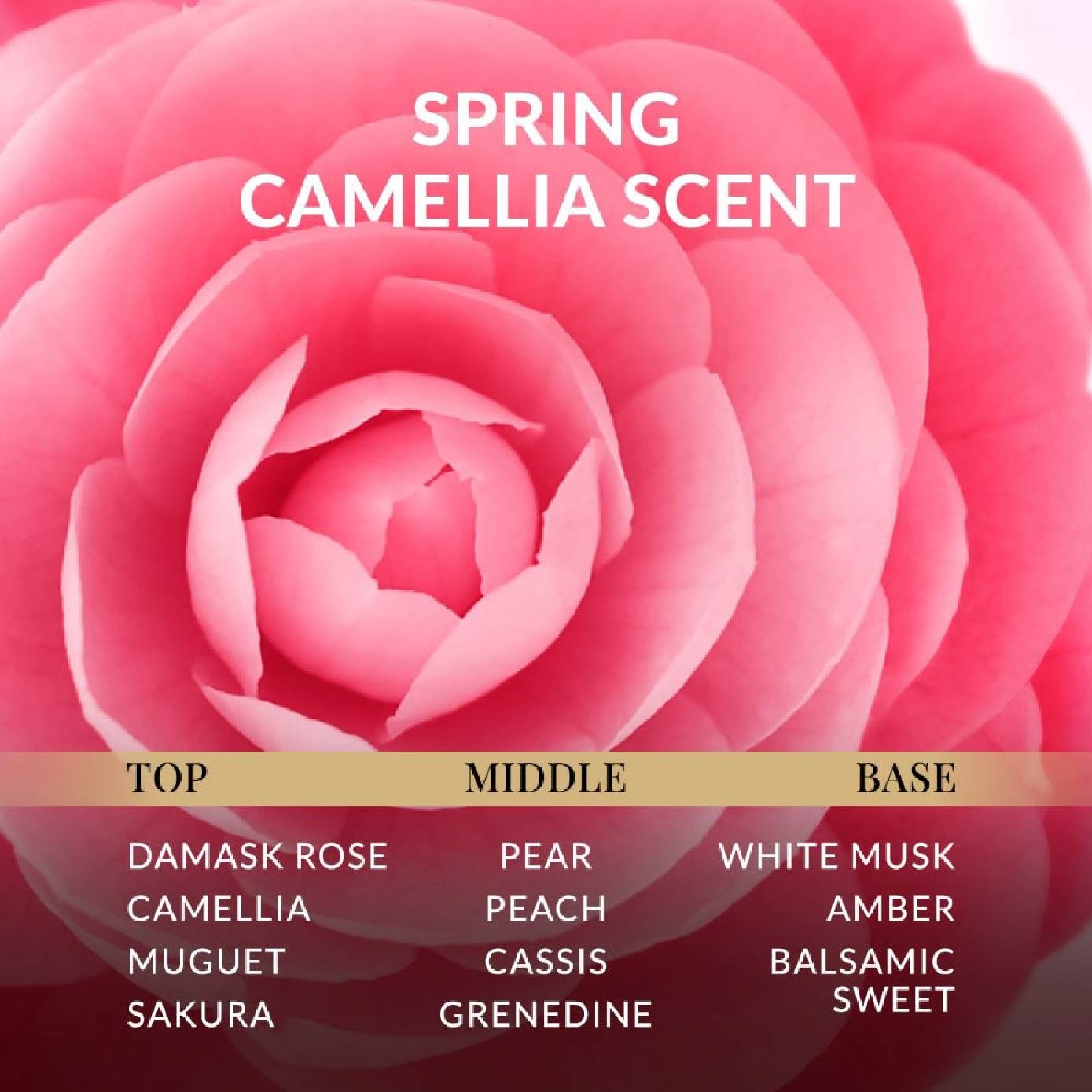 Limited Edition Premium Repair Mask Pink Camellia (Salon Quality Hair With No Waiting Time - For Severely Damaged/Tangled Hair) 180g