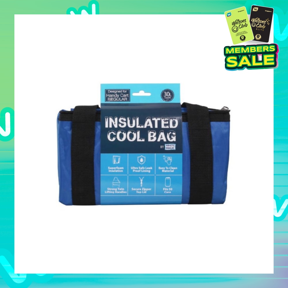 Insulated Cool Bag Regular