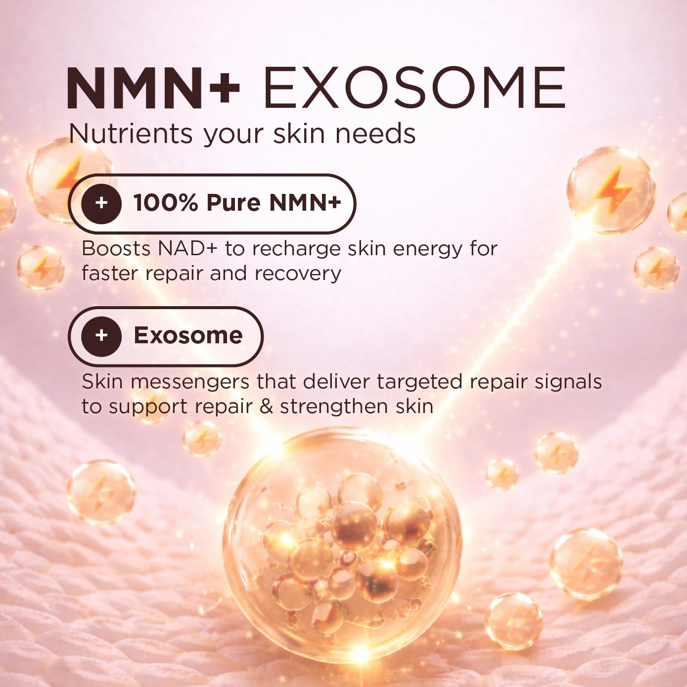 Pure NMN+ Exosome Youth Revive Serum 30ml