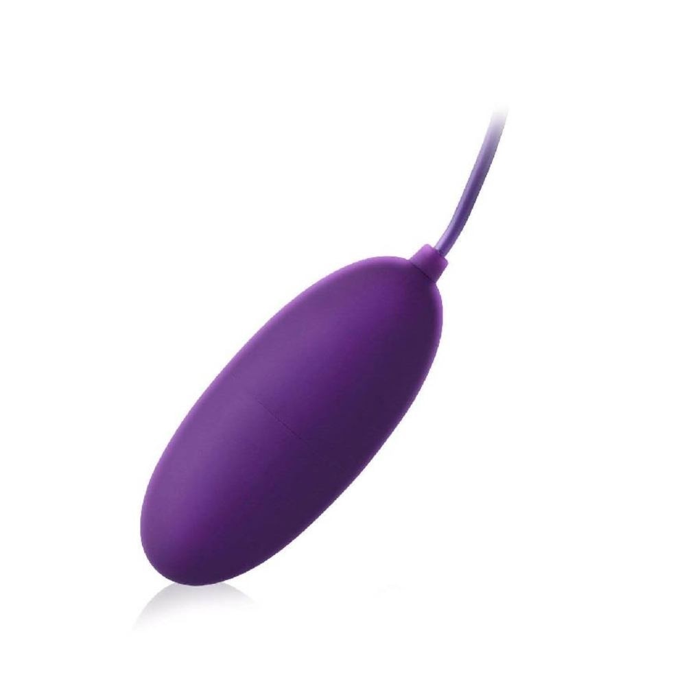 Lyra Solo Remote Control Egg Vibrator Purple 1s