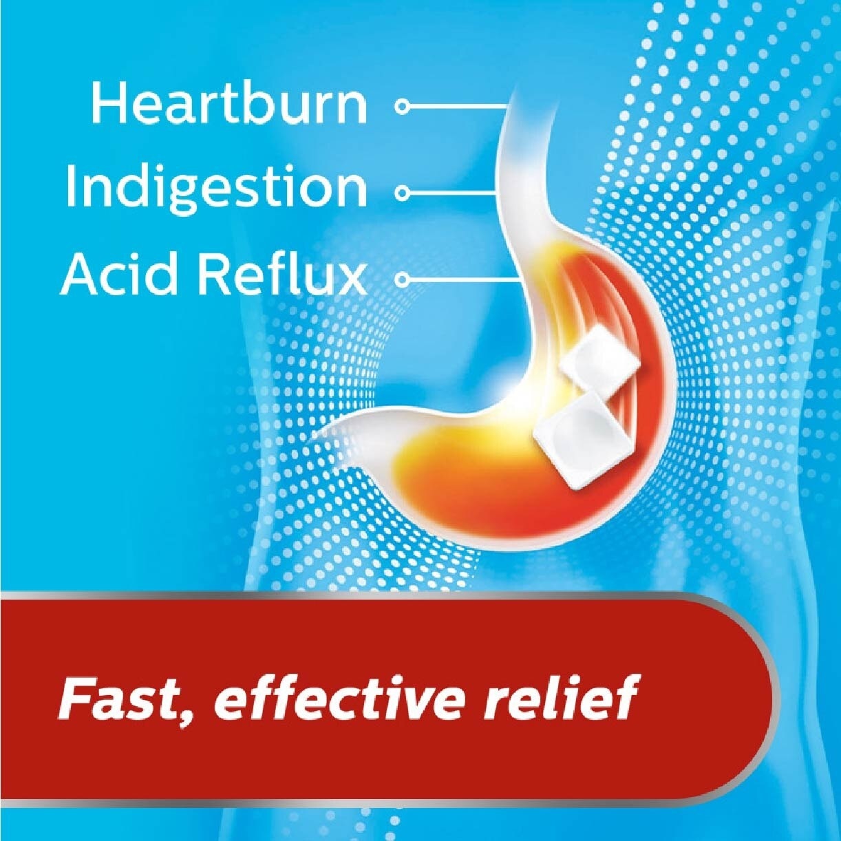 Fast Effective Ingestion and Heartburn Relief Spearmint Flavour 24s