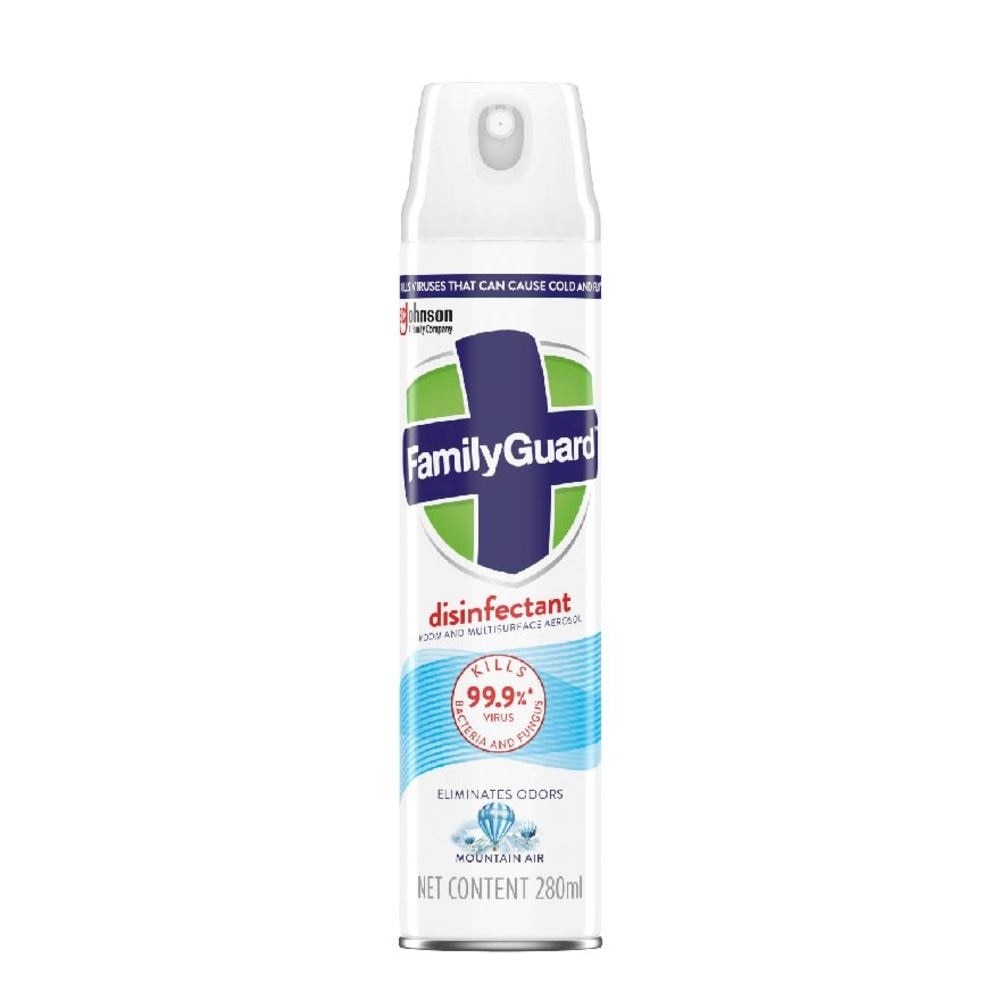 Disinfectant Room & Multisurface Aerosol Spray Mountain Air (Eliminates Odor Kills 99.9% Bacteria & Fungus) 280ml