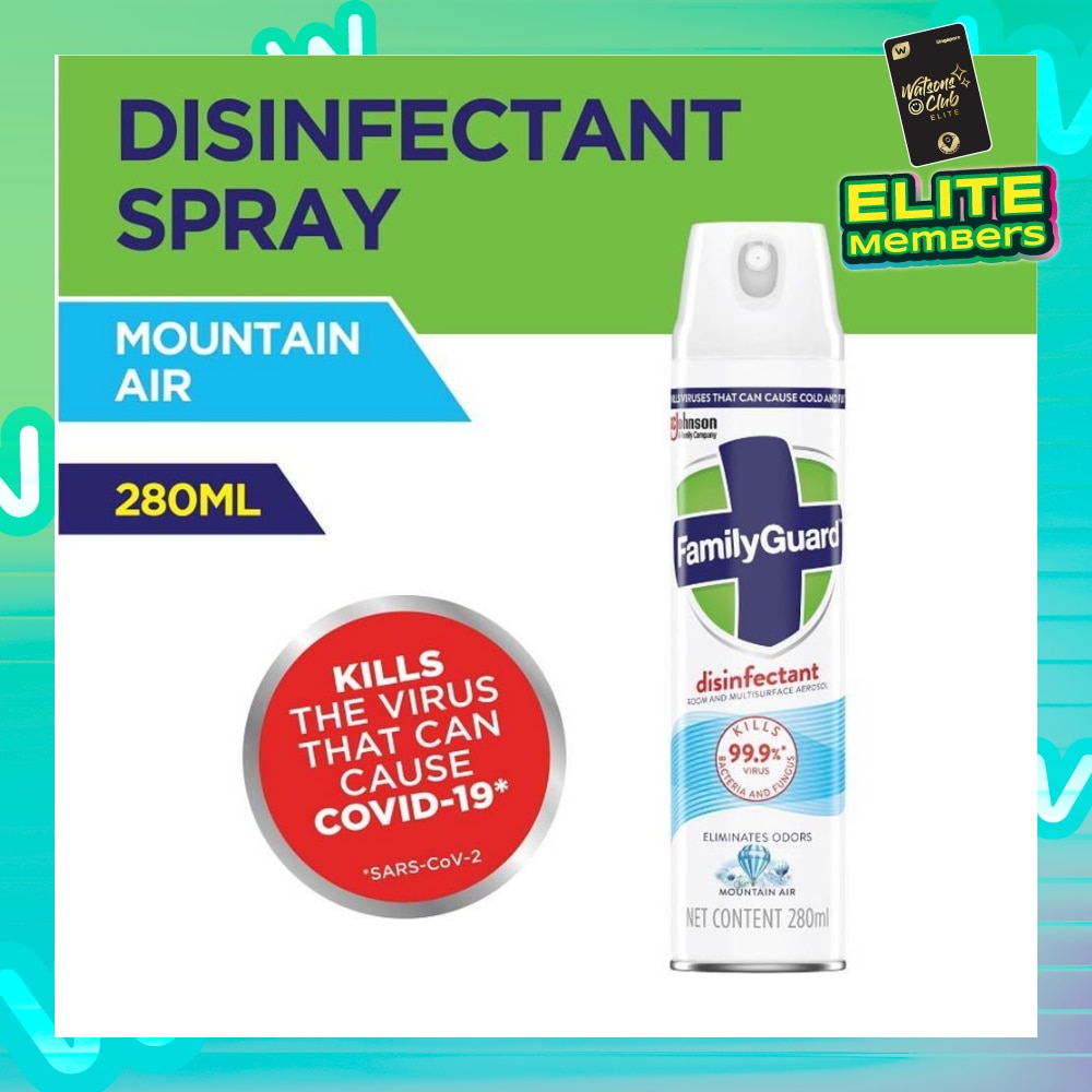 Disinfectant Room & Multisurface Aerosol Spray Mountain Air (Eliminates Odor Kills 99.9% Bacteria & Fungus) 280ml