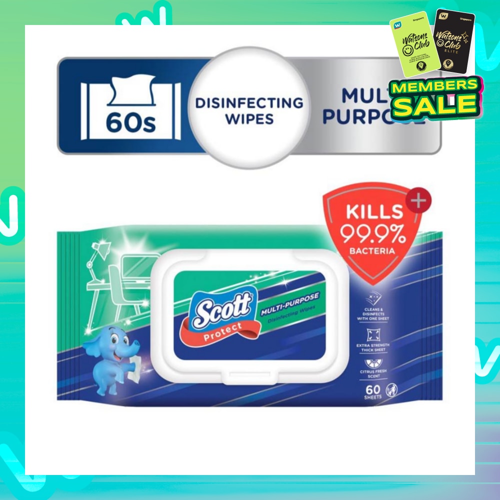 Protect Disinfecting Multipurpose Anti-bacterial Wet Wipes Kills 99.9% Bacteria 60s