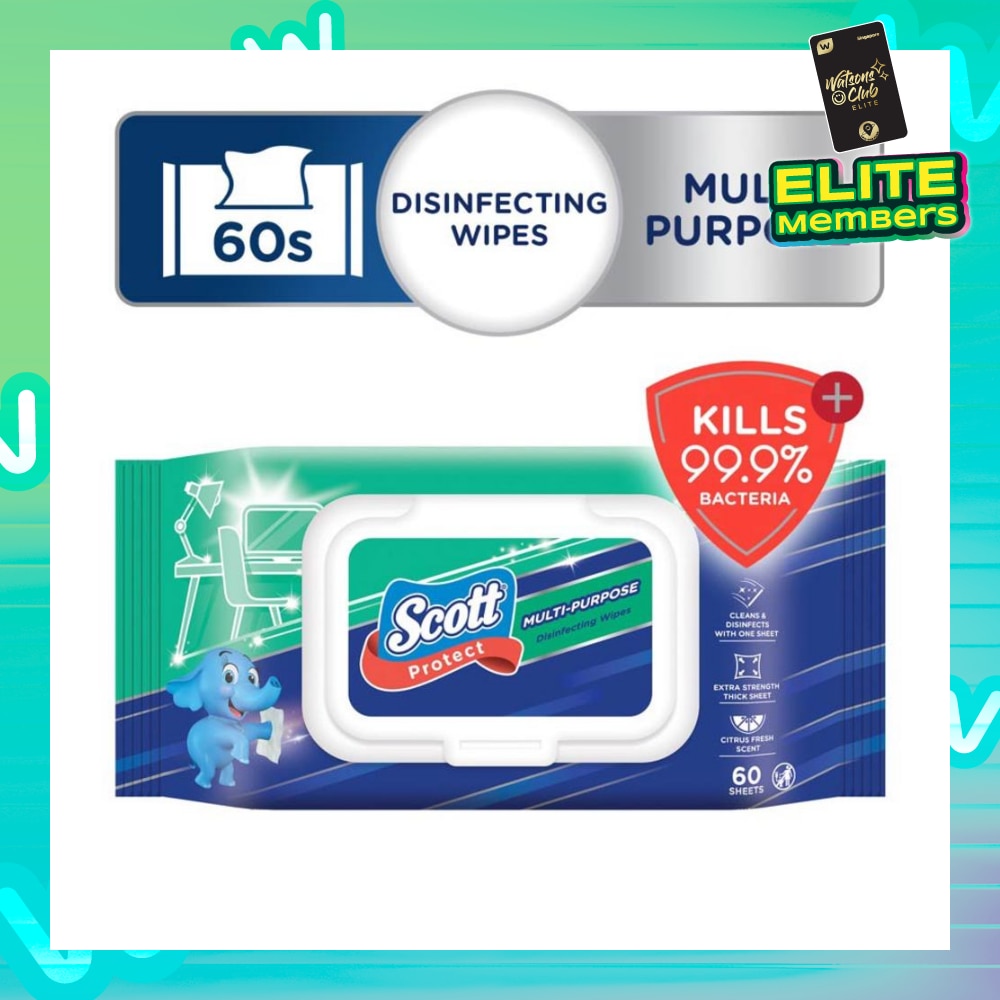 Protect Disinfecting Multipurpose Anti-bacterial Wet Wipes Kills 99.9% Bacteria 60s