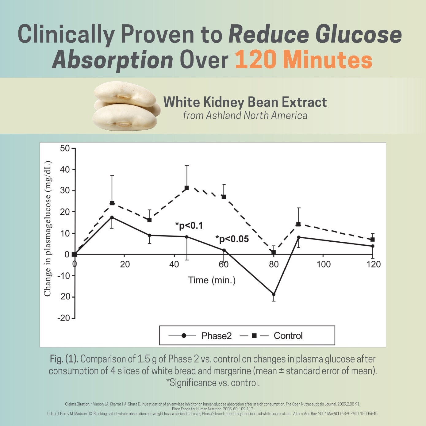 Bye Bye Carbs Block It! Diabetic Friendly Carb Blocker Grape Lemonade Sachet 15ml x 5s
