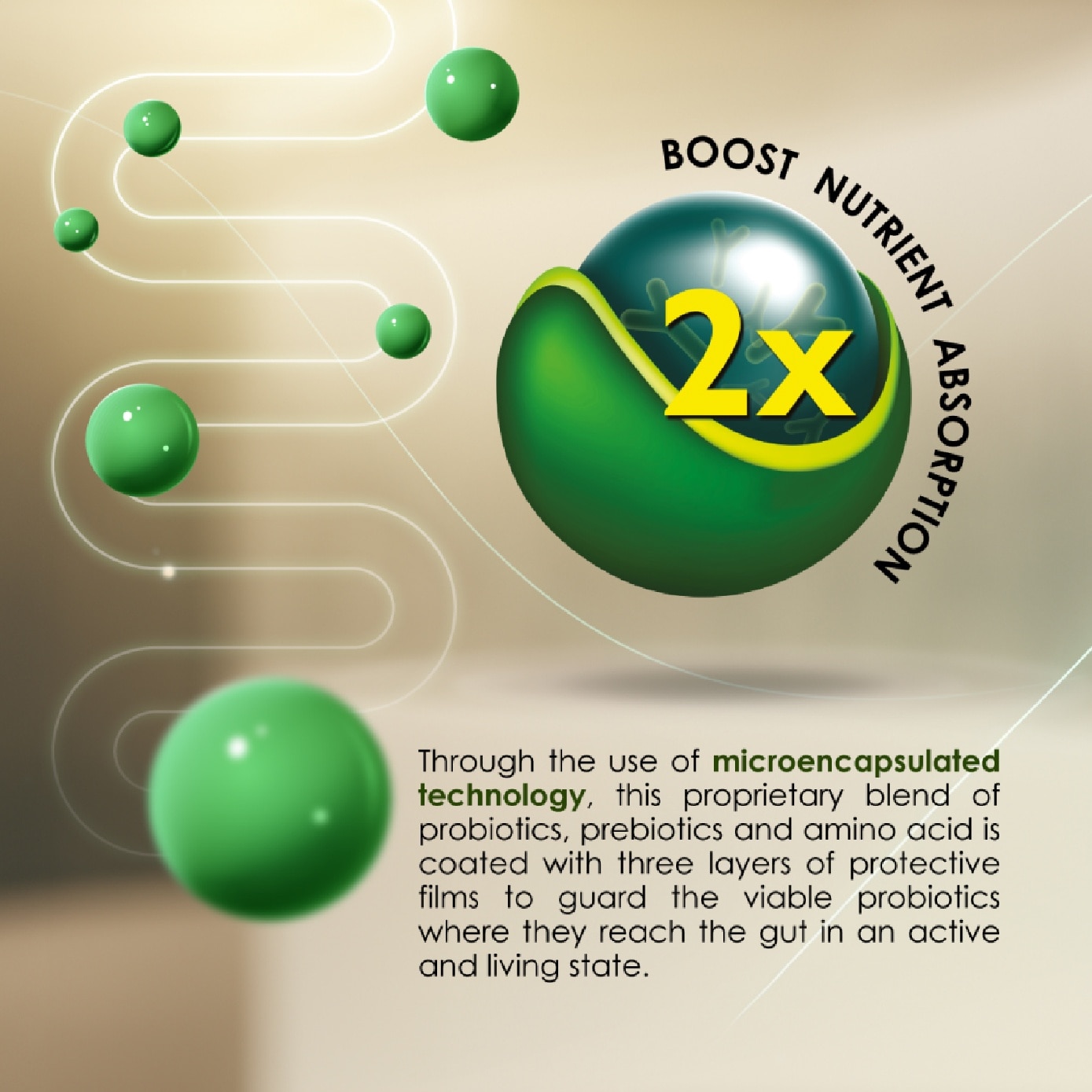 Bio Booster (Boost the Body’s Absorption) 8g x 30s image