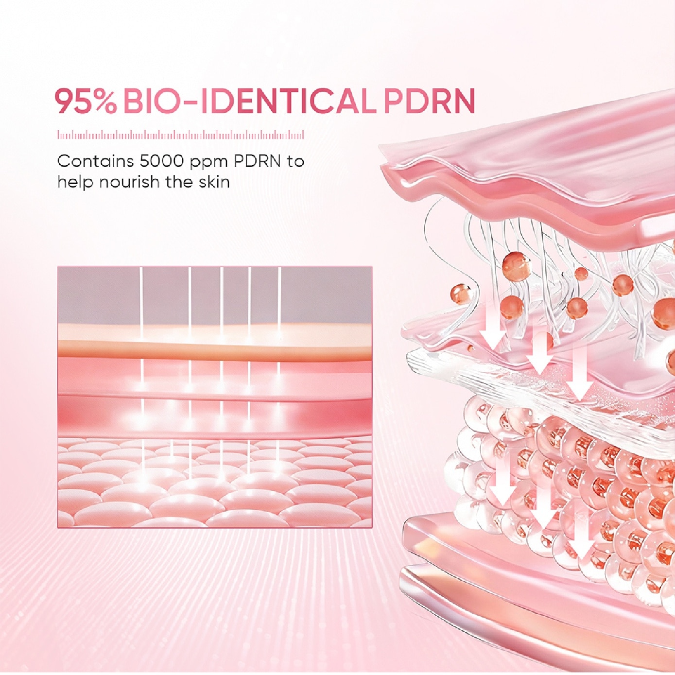 PDRN Bright & Smooth Moisture Gel 30g image