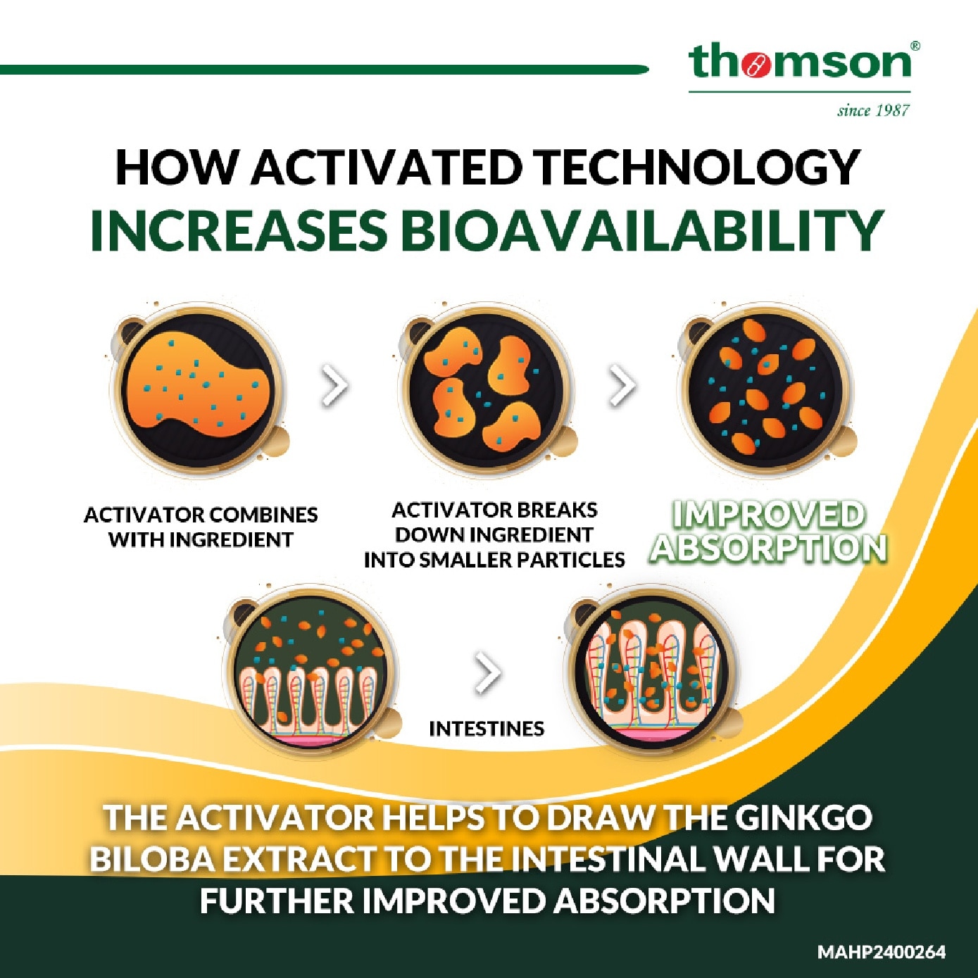 Circulon 125 (For Blood Vessel Health) 120s