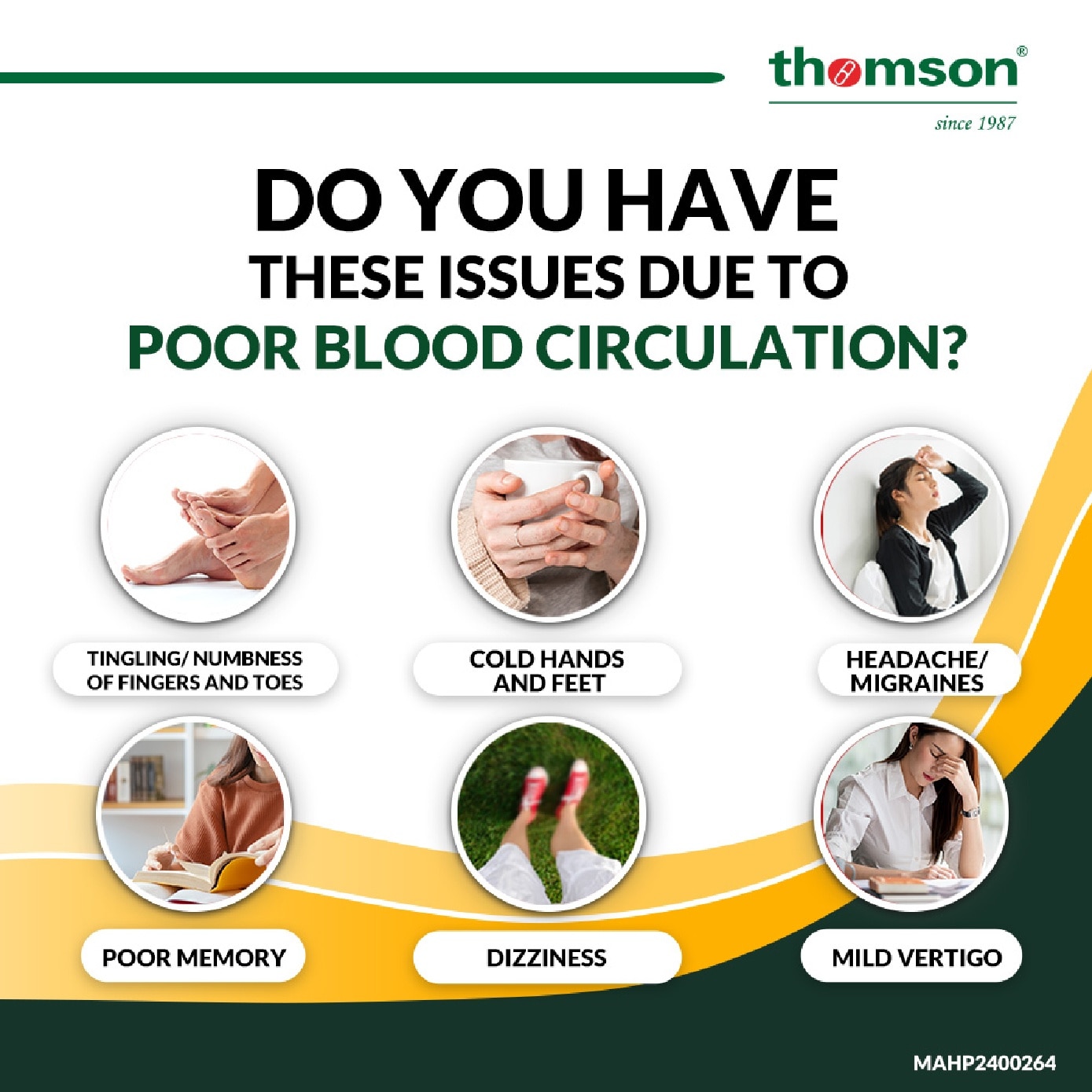 Circulon 125 (For Blood Vessel Health) 120s