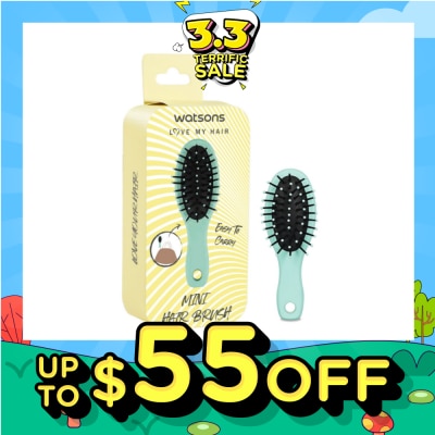 WATSONS Detangle Hair Brush Mint 1s