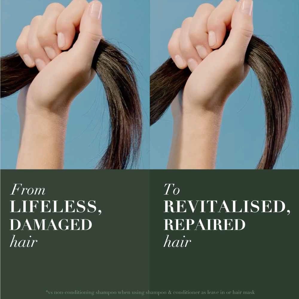 Argan Oil Repair Shampoo 400ml