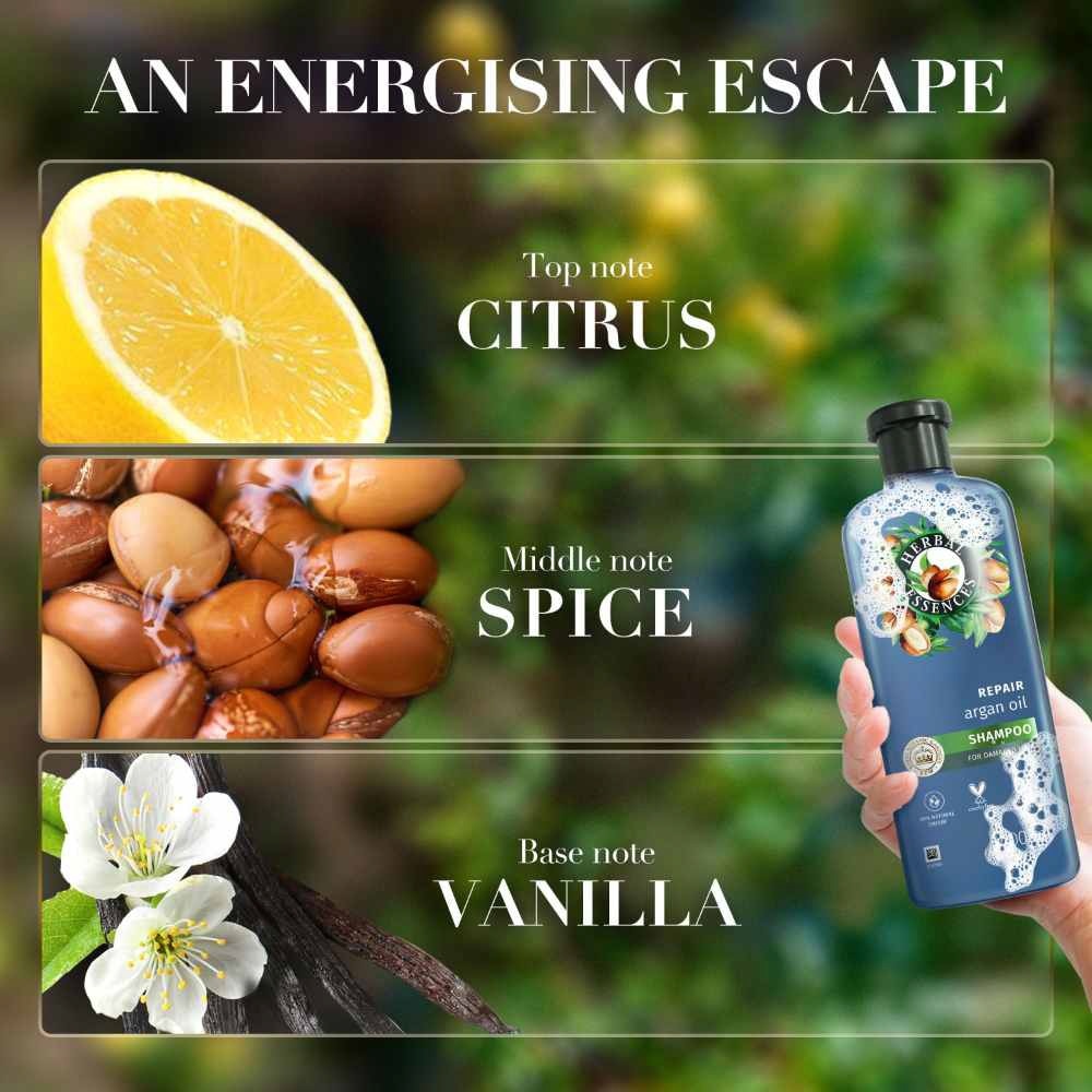 Argan Oil Repair Shampoo 400ml