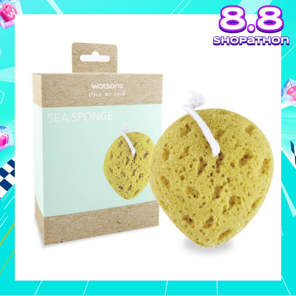 Body Sea Sponge 1s