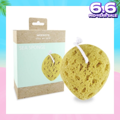 WATSONS Body Sea Sponge 1s