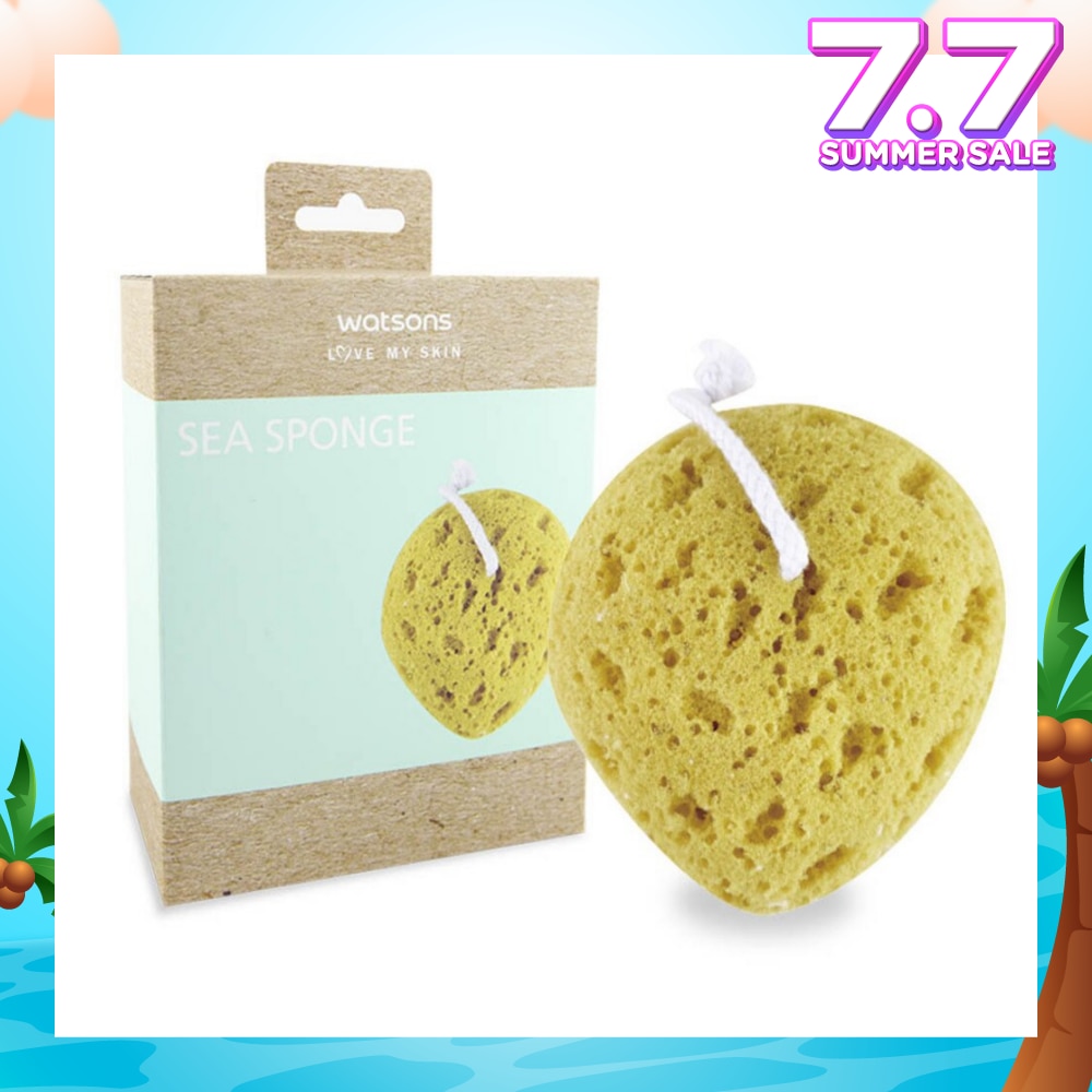 Body Sea Sponge 1s