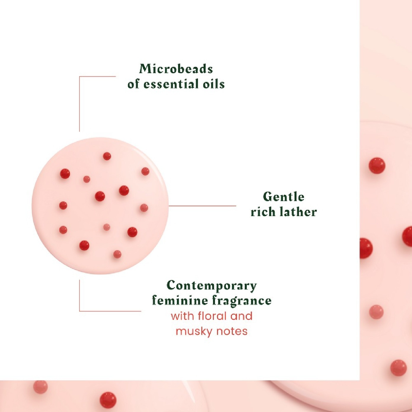 Tonucia Natural Filler Advanced Youth Ritual Replumping Shampoo 50ml