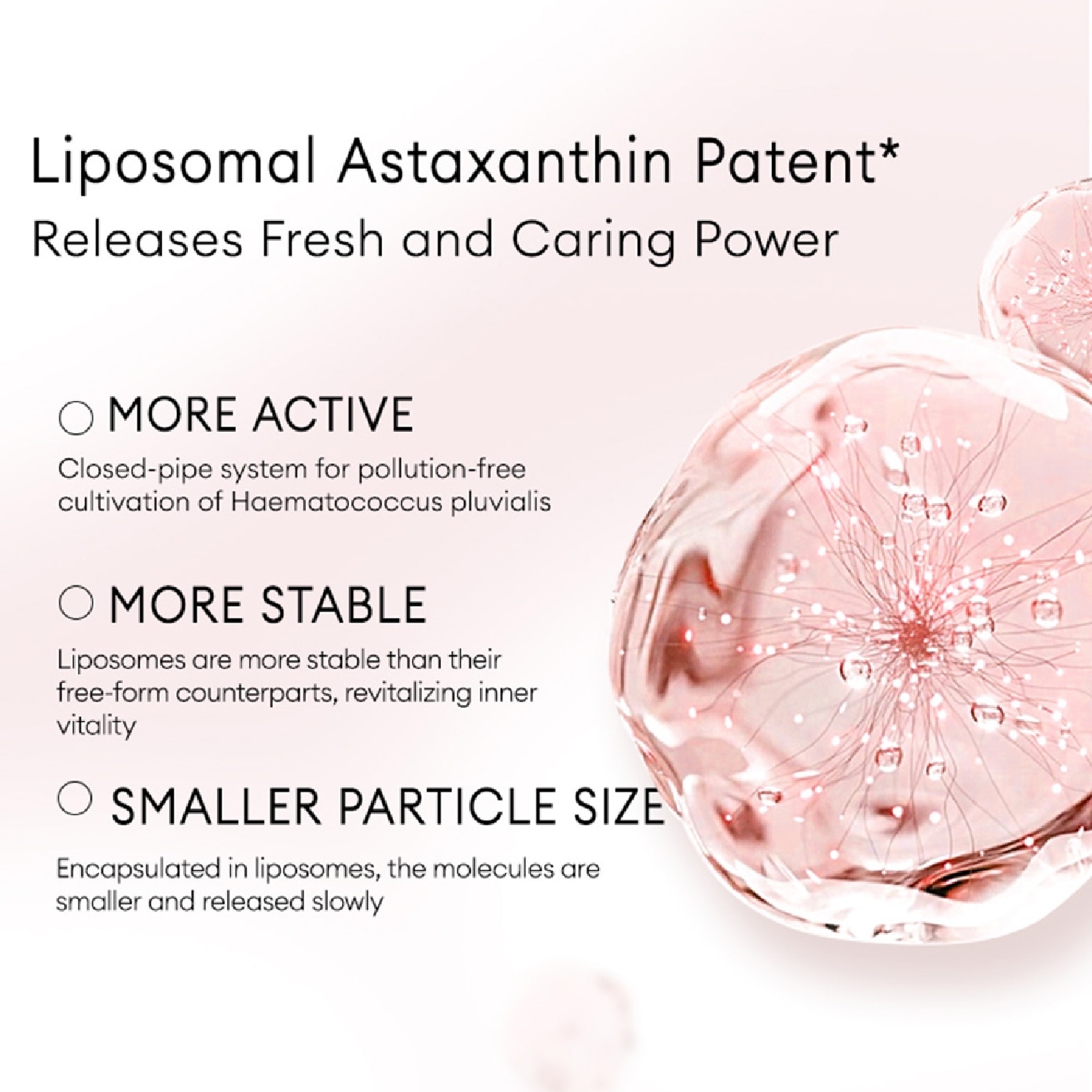 Astaxanthin Coffee Double Anti Wrinkle Icy Morning Facial Mask 35ml x 5s