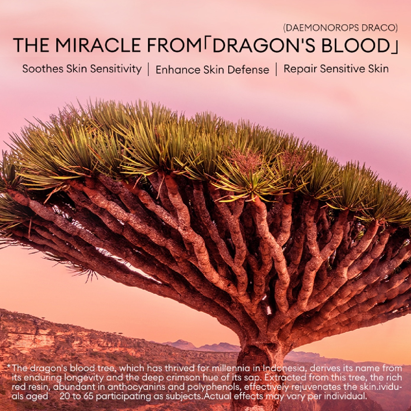 Dragon’s Blood Lentinus Fermentation Facial Treatment Mask 32ml x 5s