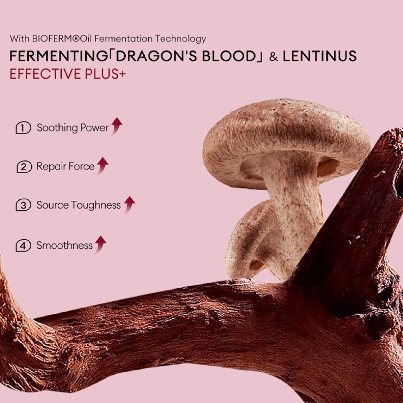 Dragon’s Blood Lentinus Fermentation Facial Treatment Mask 32ml x 5s