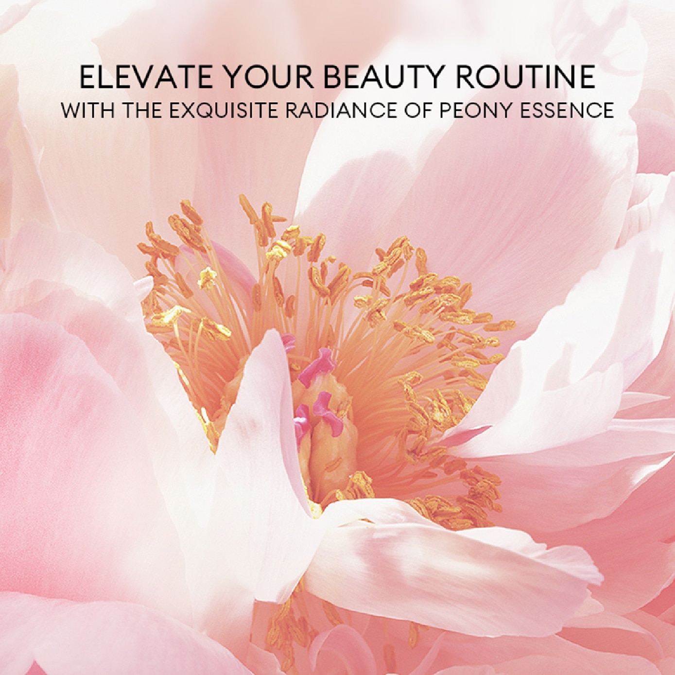 Peony Youth Capture Brightening Facial Mask 35ml x 5s