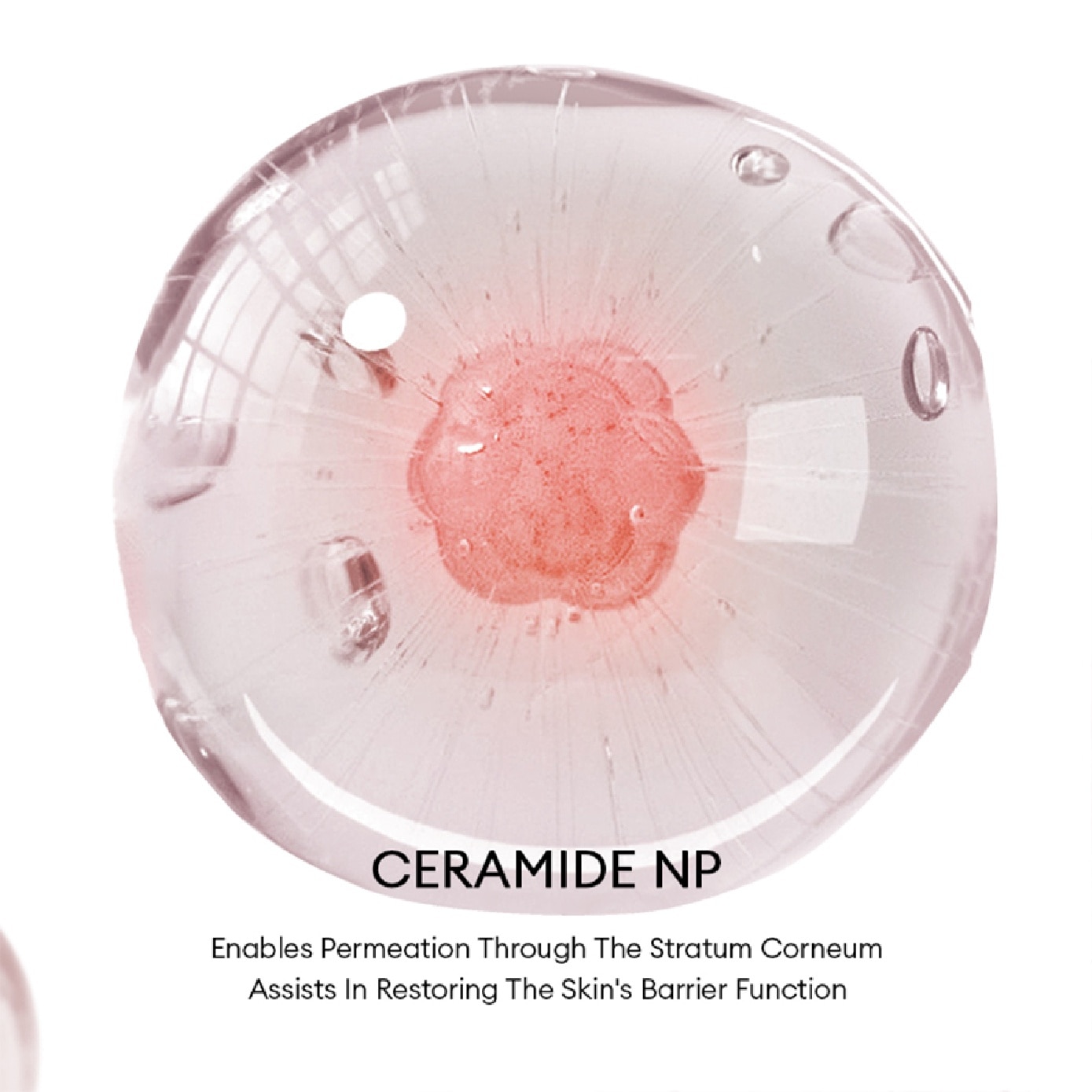 Mussel Restructuring Collagen Treatment Cream 50g