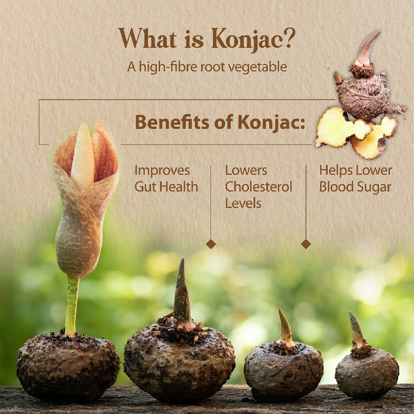 [CNY] Low Calorie Plain Round Konjac Noodle 270g x 4s