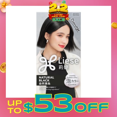 LIESE Creamy Bubble Natural Black (Easy DIY Foam Format) 1s