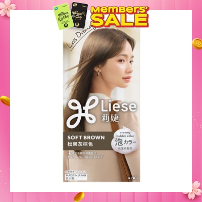 LIESE Creamy Bubble Soft Brown (Easy DIY Foam Format) 1s