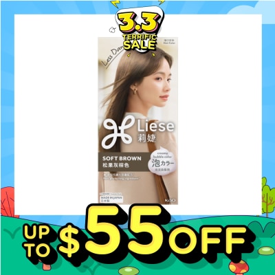 LIESE Creamy Bubble Soft Brown (Easy DIY Foam Format) 1s