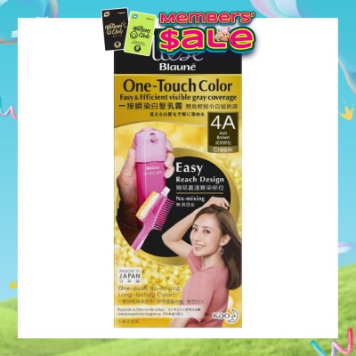 LIESE - Liese Blaune One Touch Color Ash Brown