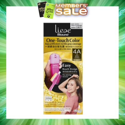 LIESE - Liese Blaune One Touch Color Ash Brown (Expiry: Feb`2027)