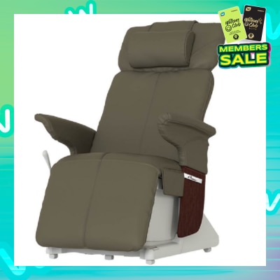 AIBI GYM Vita Chair Coffee 1s