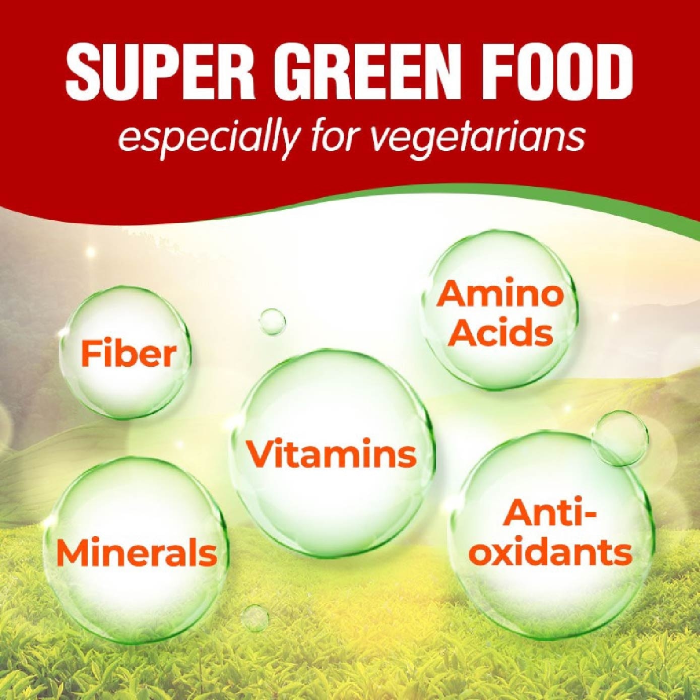 King Chlorella Chlorophyll Green Superfood Caplet (Detox, Digestion, Weight, Immune, Skin, Antioxidant, Gut Health) 1000s