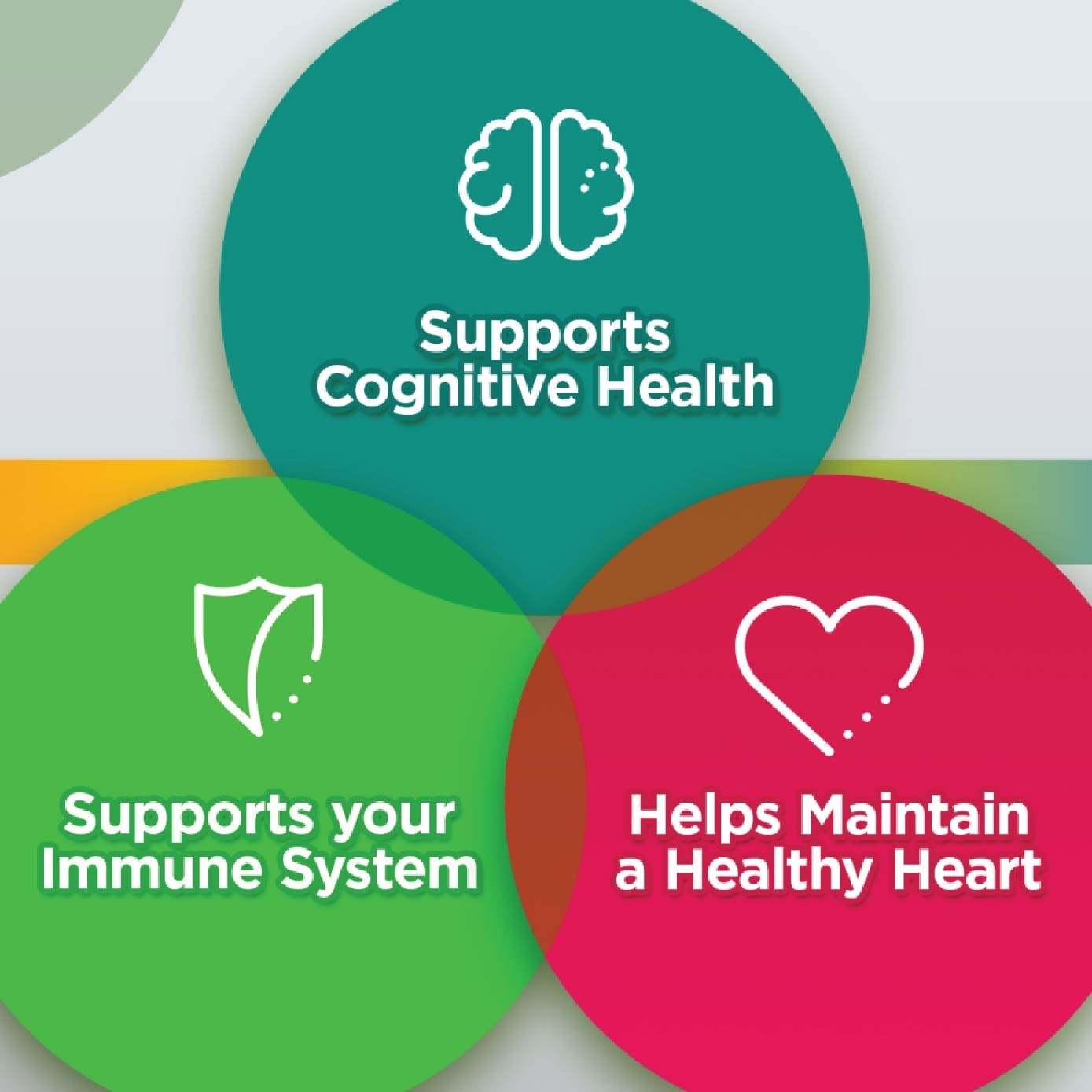 Silver Twin Pack 2x100 Tablets