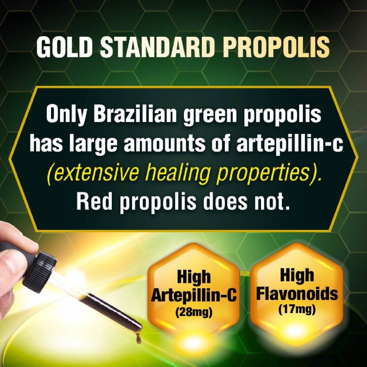Brazilian Green Propolis Extract with Artepilin C & Flavonoids (Immune & Throat Support) 30ml