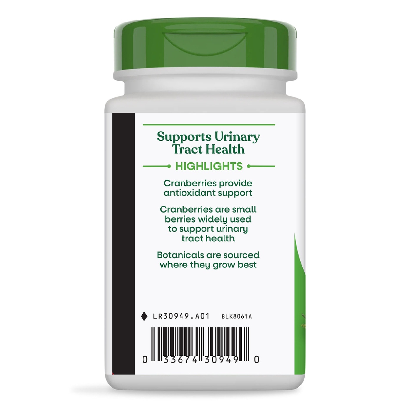 Cranberry Fruit Vegan Capsule 100s