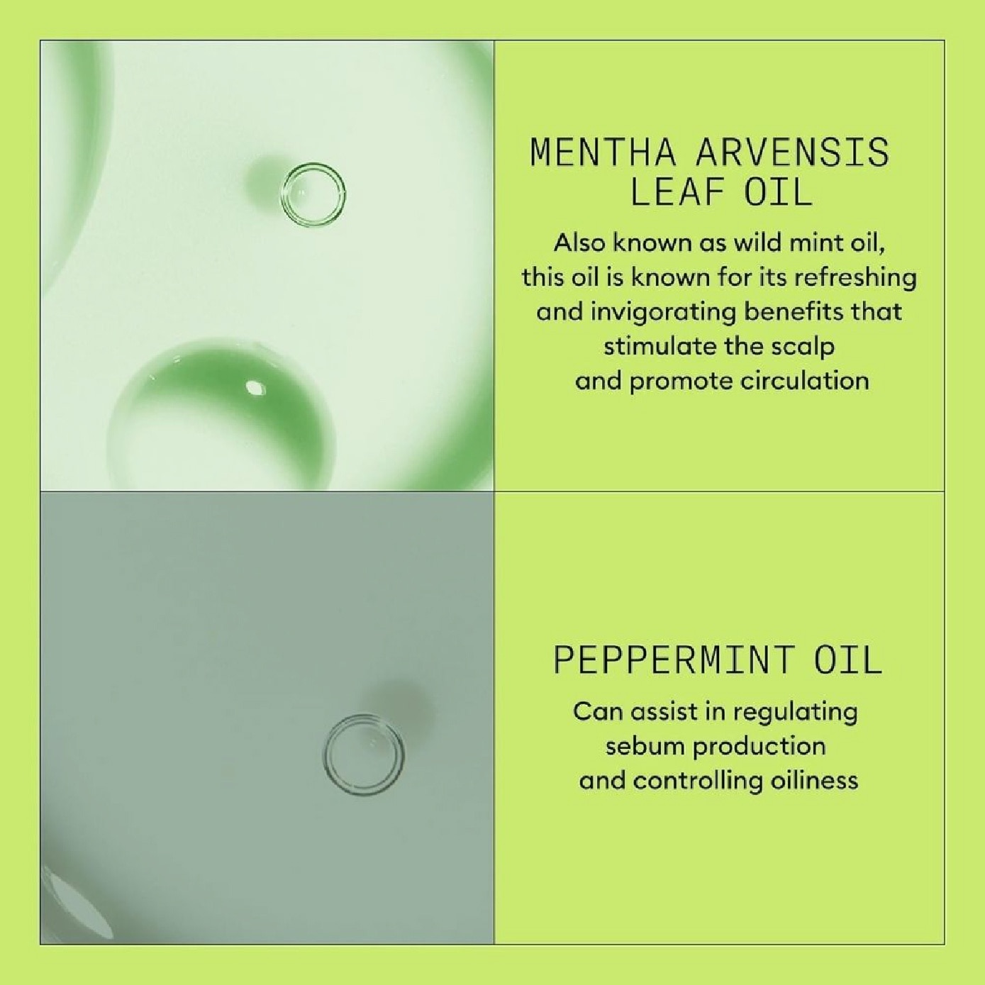 System 2 Scalp + Hair Conditioner 1L