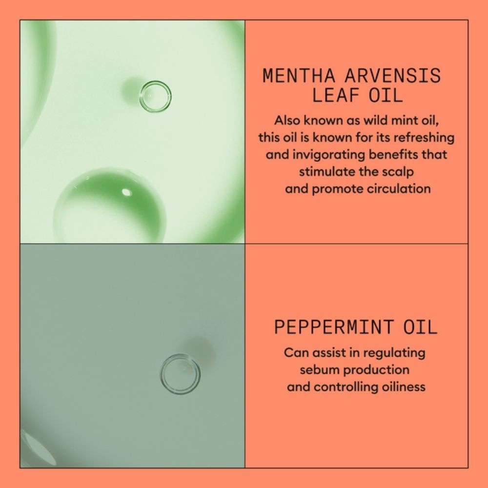 System 4 Scalp + Hair Conditioner 1L