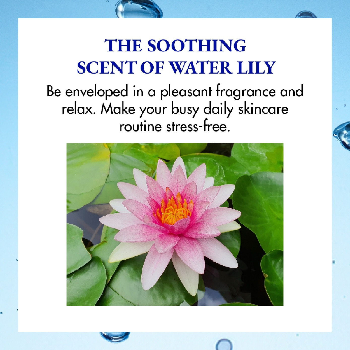 Spa & Mineral W Cleansing 200ml