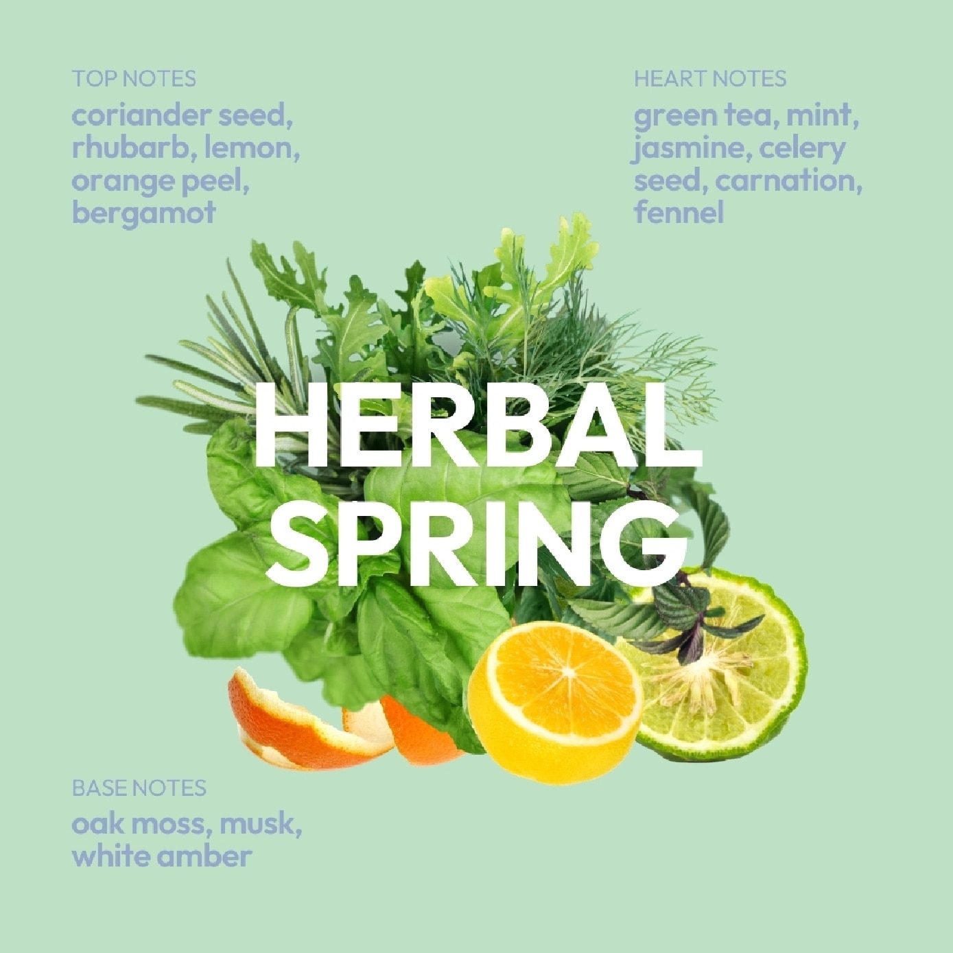 Scalp Hero Balance Shampoo Herbal Spring 500ml