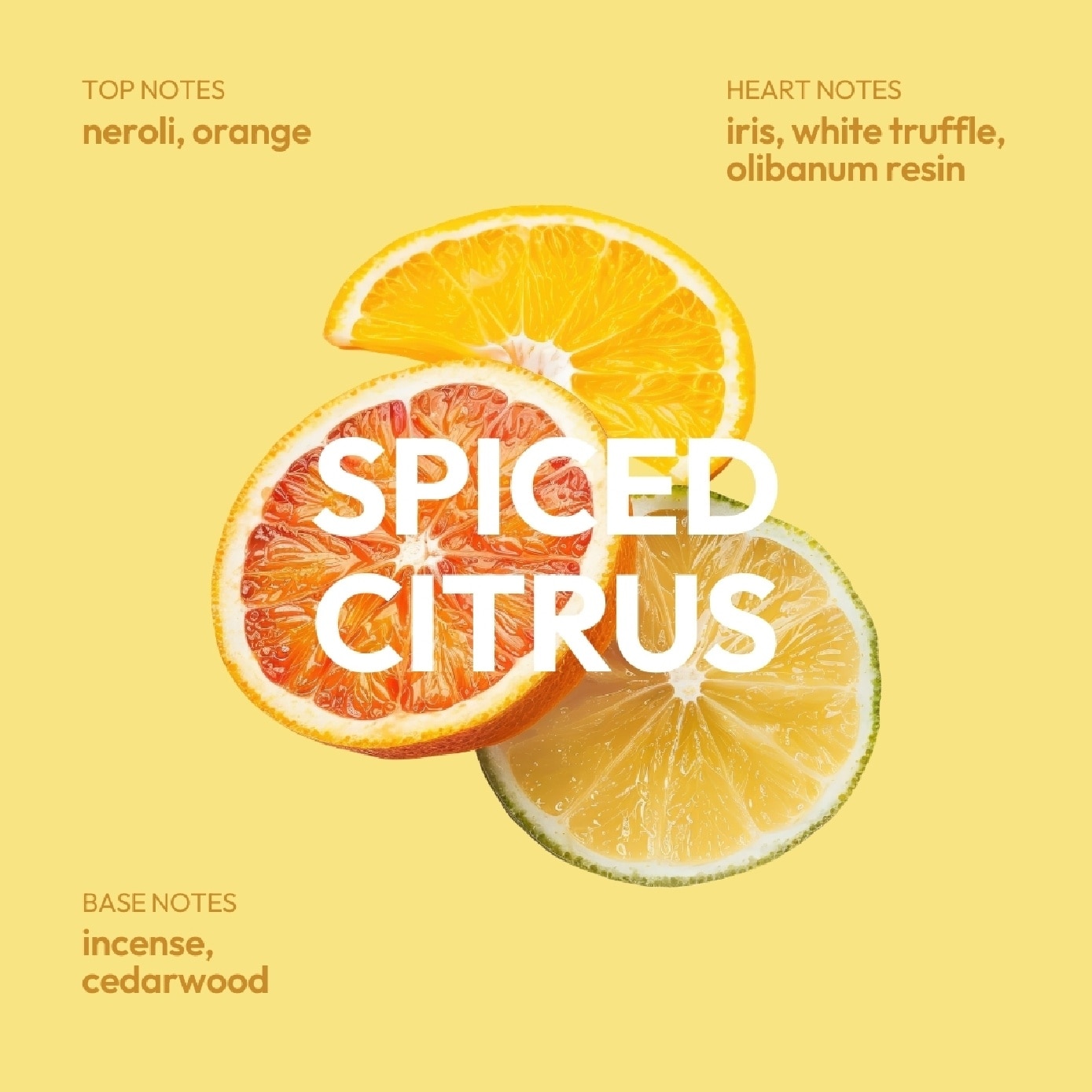 Rinse and Shine Hydrating Shampoo Spiced Citrus 500ml