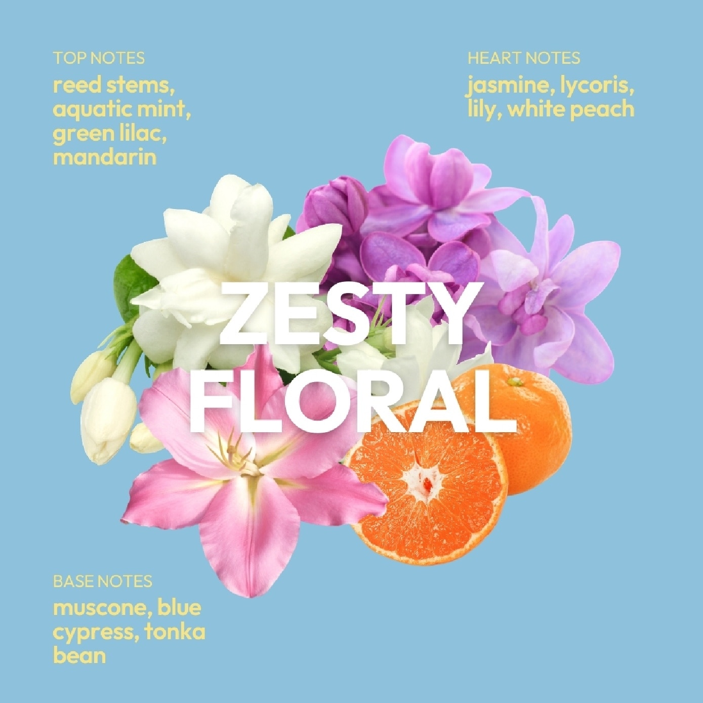 Big Head Energy Volumising Shampoo Zesty Floral 500ml