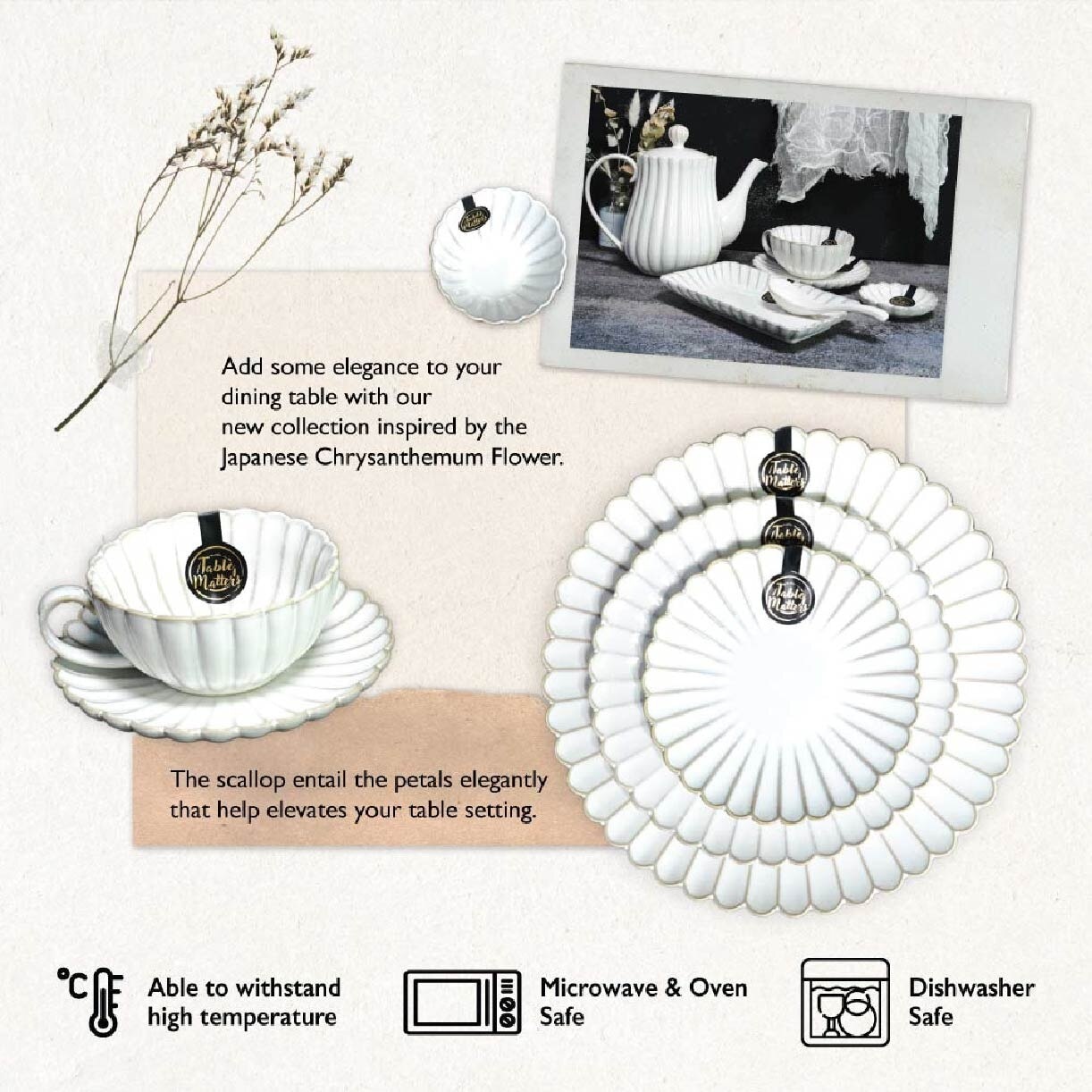 Tea Cup and Saucer WS06999 White Scallop 1s