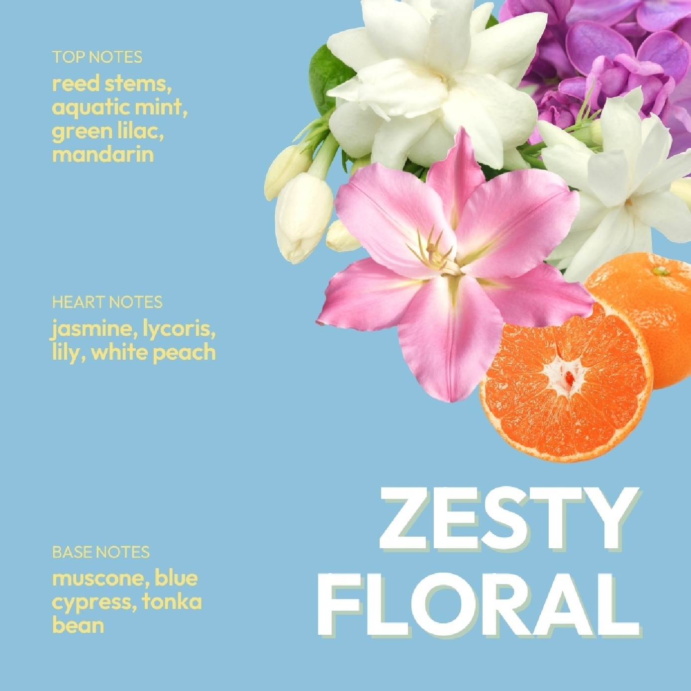 Big Head Energy Hydrating Conditioner Zesty Floral 500ml