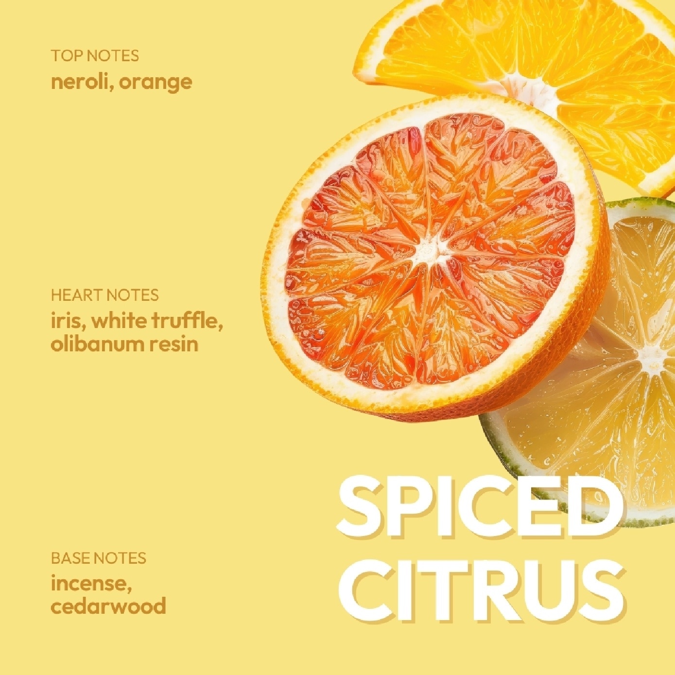 Rinse and Shine Nourishing Conditioner Spiced Citrus 500ml